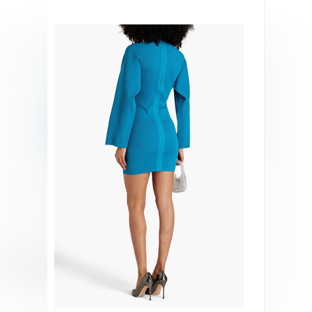 Herve Leger Dress